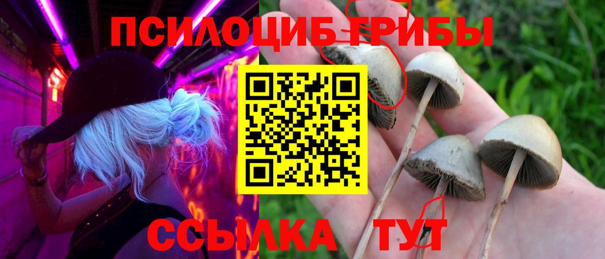 Псилоцибиновые грибы Psilocybe  Псилоцибиновые грибы ЛСД  купить  цена  Вход с VPN  Тулун 